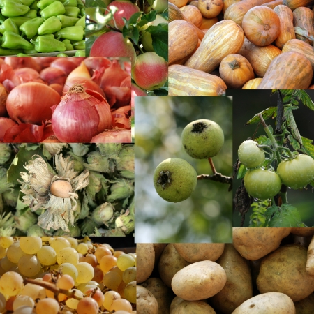 market fruits and vegetablesの写真素材