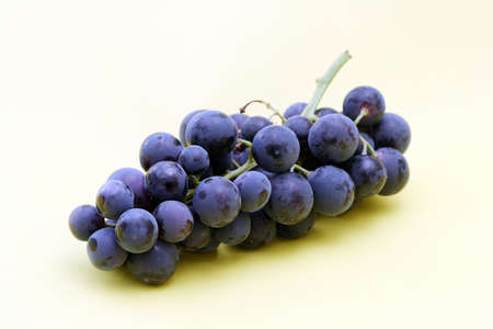 red grape on whiteの写真素材