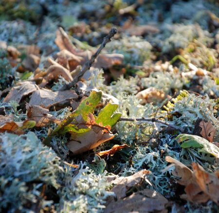 autumn is coming, 15 Sept 2012, macedoniaの写真素材