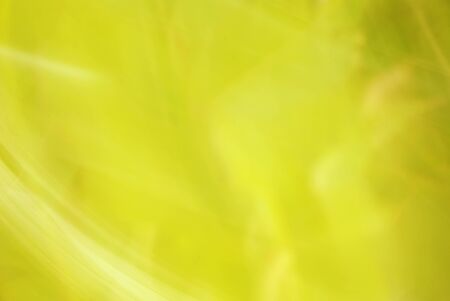 yellow  backgroundの写真素材