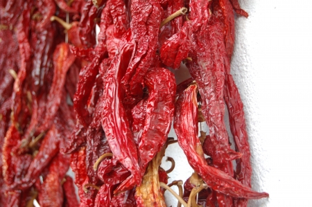 Drying pepperの写真素材
