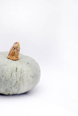 grey pumpkins の写真素材