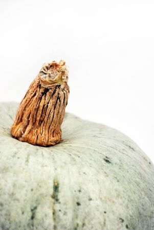 grey pumpkins の写真素材