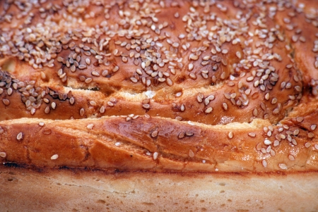 Fresh breadの写真素材