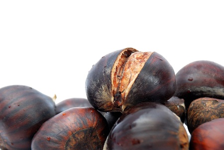 Chestnutの写真素材