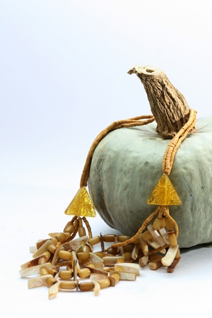 fashion  necklace on pumpkinの写真素材
