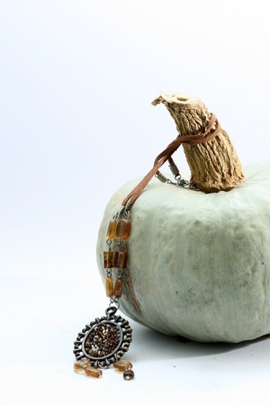 fashion  necklace on pumpkinの写真素材