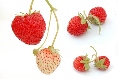 Strawberries on white backgroundの写真素材