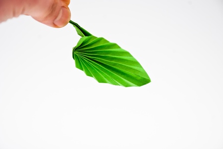 origami green leafの写真素材