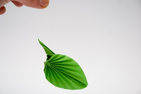origami green leafの写真素材