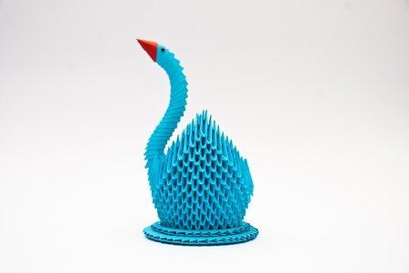 blue swanの写真素材
