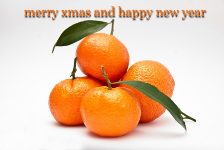 juicy christmas cardの写真素材