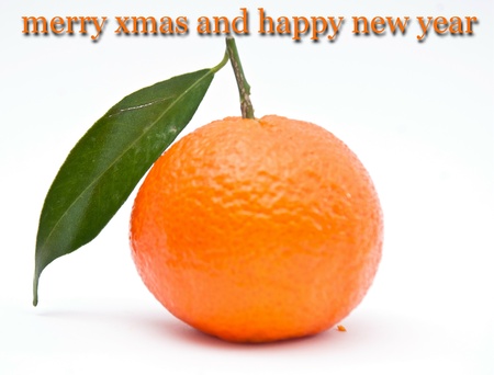 juicy christmas cardの写真素材