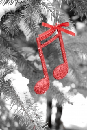 new year music note on snow and pine tree ,Christmass backgroundの写真素材
