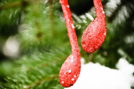 new year music note on snow and pine tree ,Christmass backgroundの写真素材