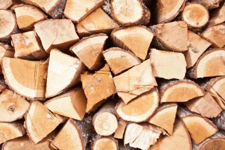 A pile of freshly cut logs outdoorの写真素材