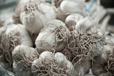 Garlic Vegetableの写真素材