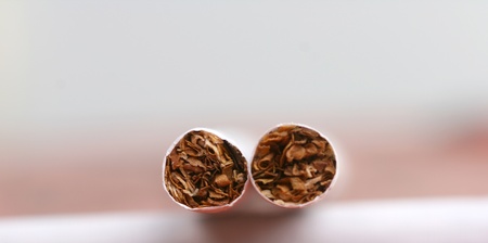 a cigarette  on white, macroの写真素材