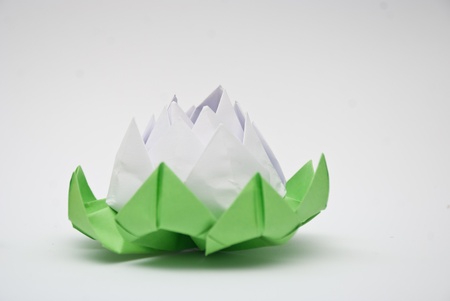 Flower origami,lotusの写真素材