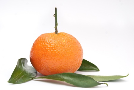 tangerine fruitの写真素材