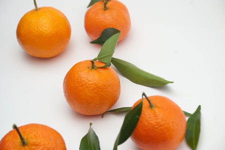 tangerine fruitの写真素材