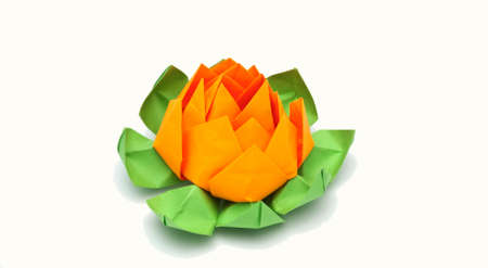origami lotusの写真素材