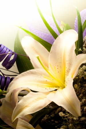 flowers, macro, の写真素材
