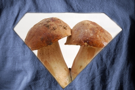 Healthy t-shirtの写真素材
