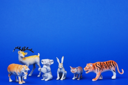 Animal toysの写真素材