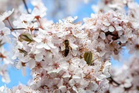 Spring timeの写真素材