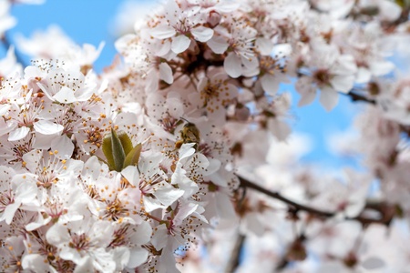 Spring timeの写真素材