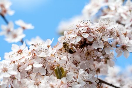 Spring timeの写真素材