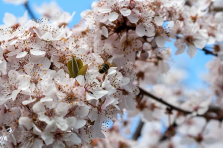 Spring timeの写真素材