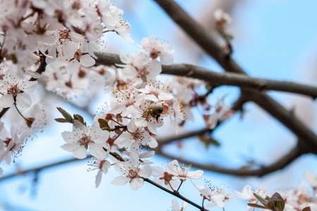 Spring timeの写真素材
