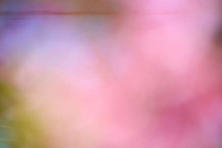 Abstract pink backgroundの写真素材