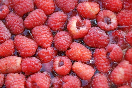 raspberry backgroundの写真素材