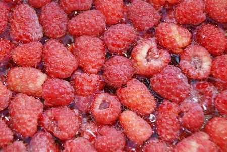 raspberry backgroundの写真素材