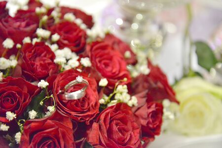 wedding rings in rosesの写真素材