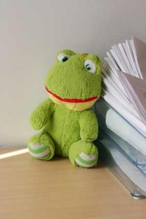 frog の写真素材