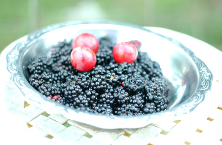      Blackberries             の写真素材