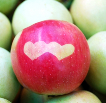  st  valentine appleの写真素材