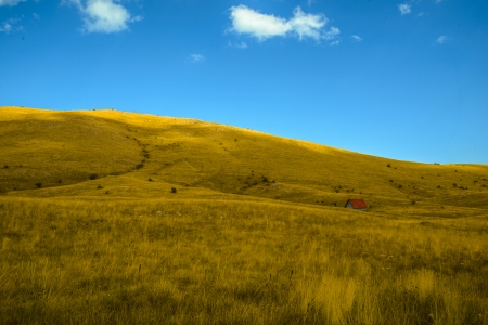 Fieldの写真素材