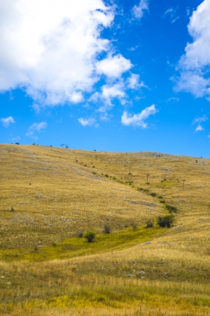 Fieldの写真素材