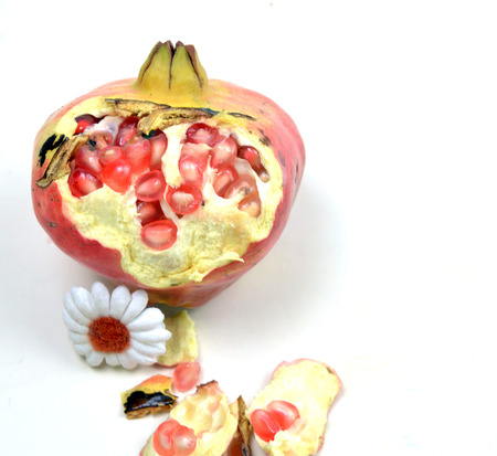 pomegranateの写真素材