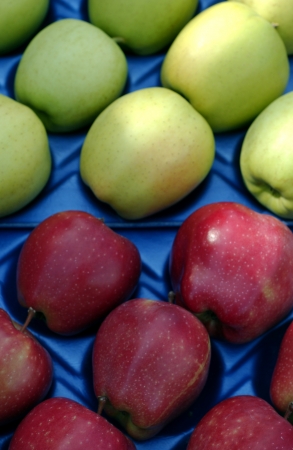                  apples in market                   の写真素材