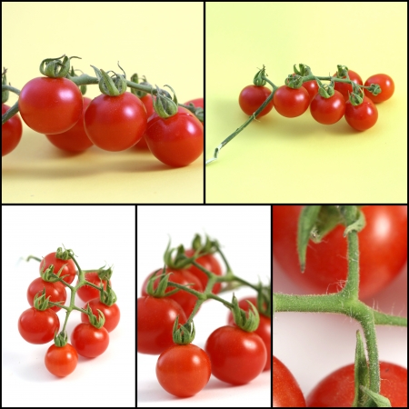 tomatoesの写真素材