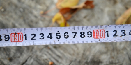 Tape measureの写真素材