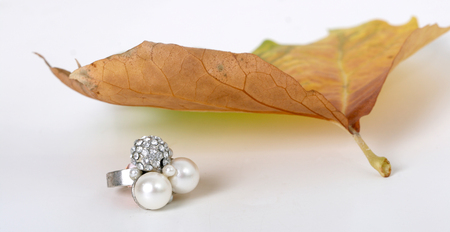 ring under automn leafの写真素材