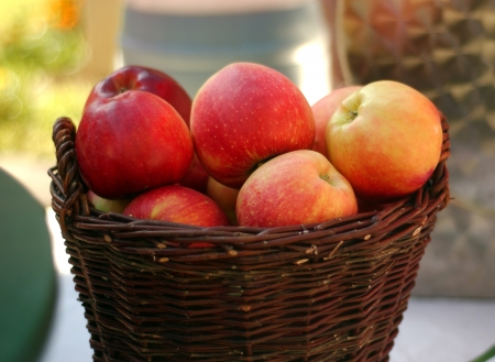      apples in a basket                          の写真素材