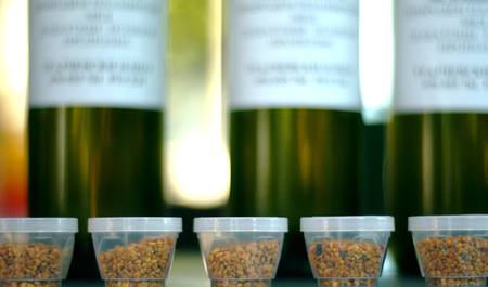 	propolis in small plastic cans				の写真素材